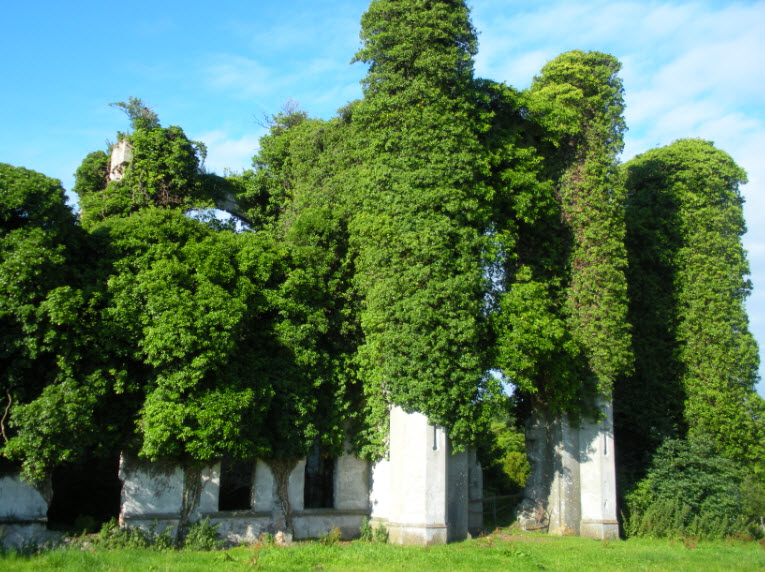 Moydrum Castle, Republic of Ireland, Ireland
